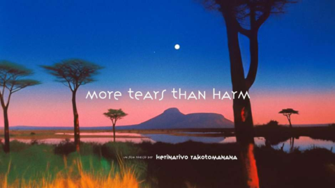 More tears than harm I Herinarivo Rakotomanana