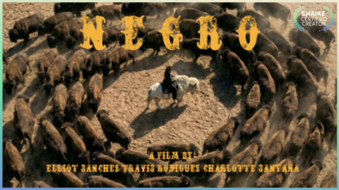 Negro