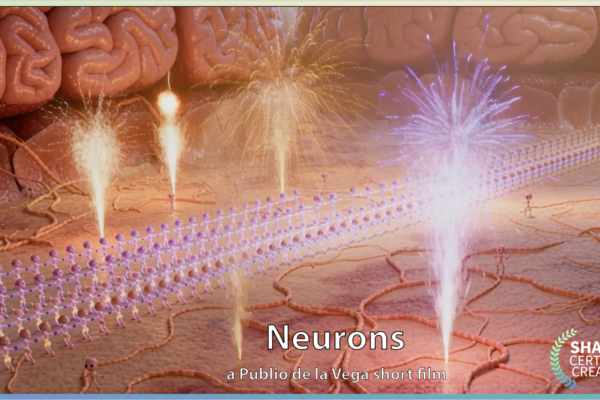 NEURONS