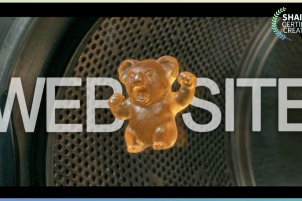 【Website】Can You Stop Watching Once Observation Exists? 