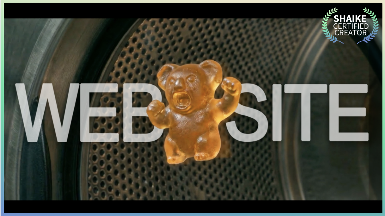 【Website】Can You Stop Watching Once Observation Exists? 