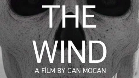 BENEATH THE WIND
