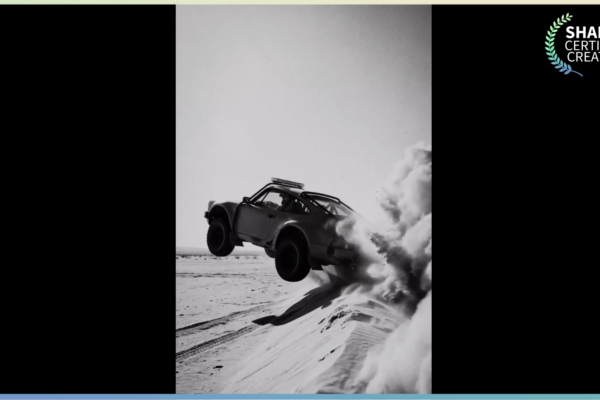 Porsche Rally