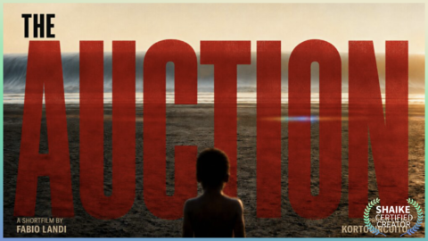 The Auction