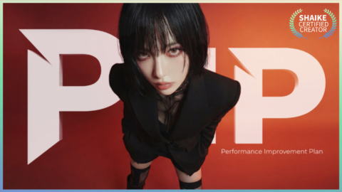 Performance Improvement Plan
