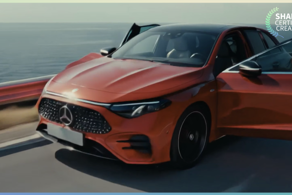 Mercedes-Benz FYI RAIDIO