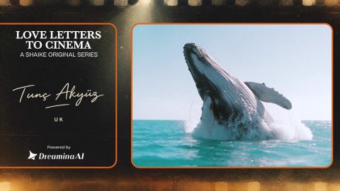 12/100 – LOVE LETTERS TO CINEMA – Tunç AKYÜZ